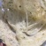 商用手抓饼120g100片装加大加厚装早餐商用批发