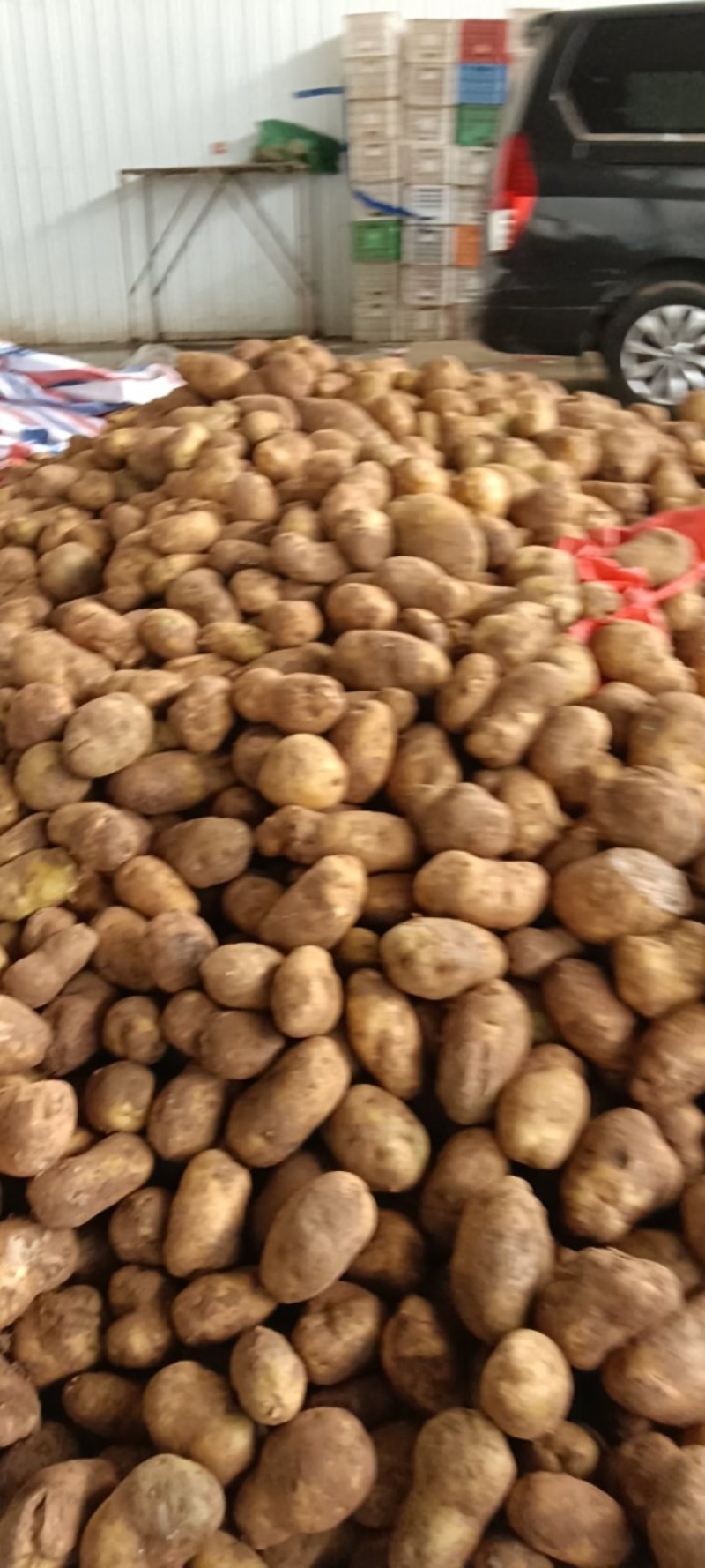 226土豆便宜处理