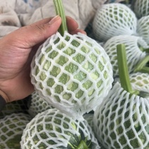 精品小南瓜🎃产地直发🎃电商超市，质量保证，物流全国