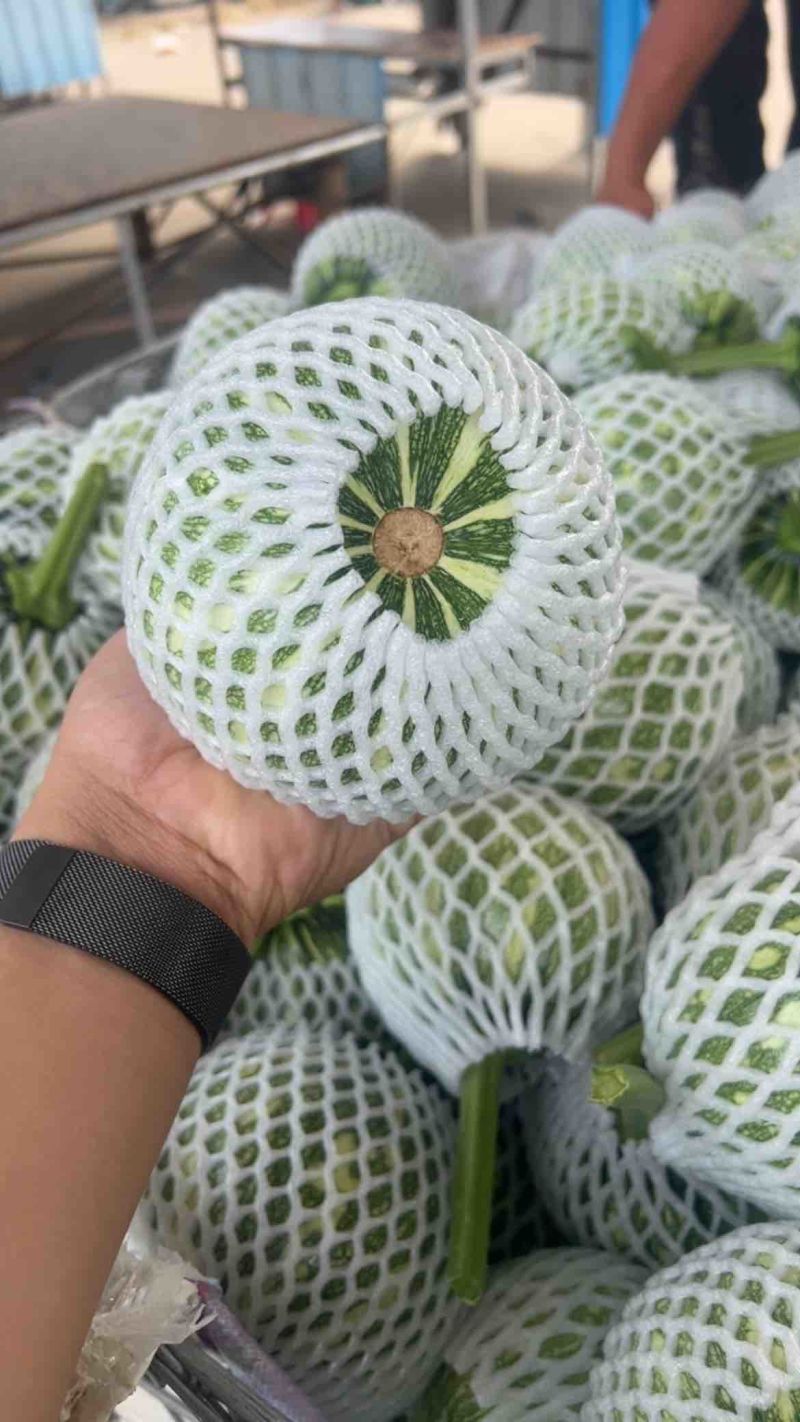 精品小南瓜🎃产地直发🎃电商超市，质量保证，物流全国