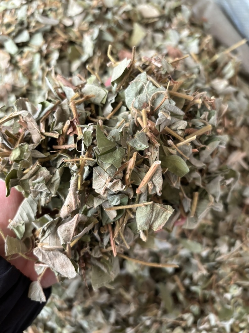 批发零售中药材金钱草新货一斤起发量大从优