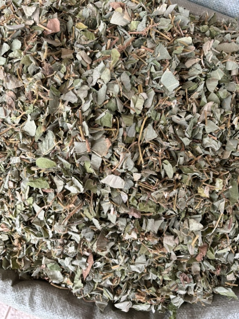 批发零售中药材金钱草新货一斤起发量大从优