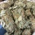 批发零售中药材金钱草新货一斤起发量大从优