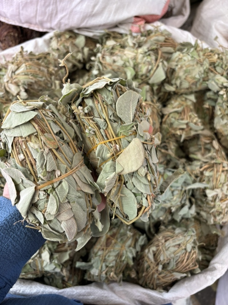 批发零售中药材金钱草新货一斤起发量大从优
