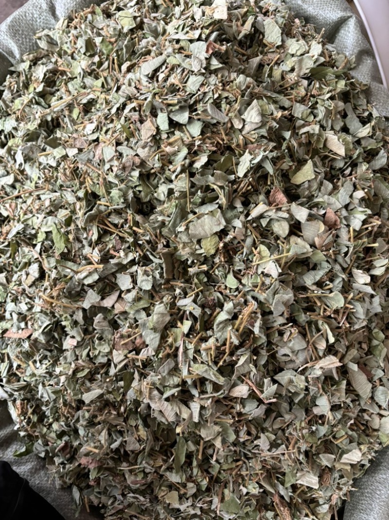 批发零售中药材金钱草新货一斤起发量大从优