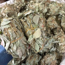 批发零售中药材金钱草新货一斤起发量大从优