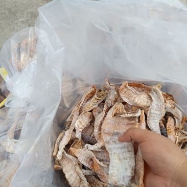 湖南笋干今年新货