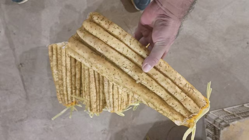 小白嘴山药网袋箱货新鲜当季农家现挖蔬菜山药粉糯河北特产