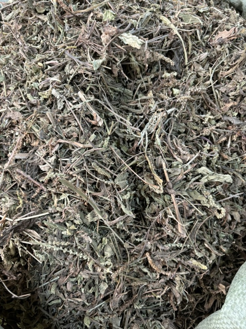 车前草批发零售中药材一斤起发量大从优一件代发