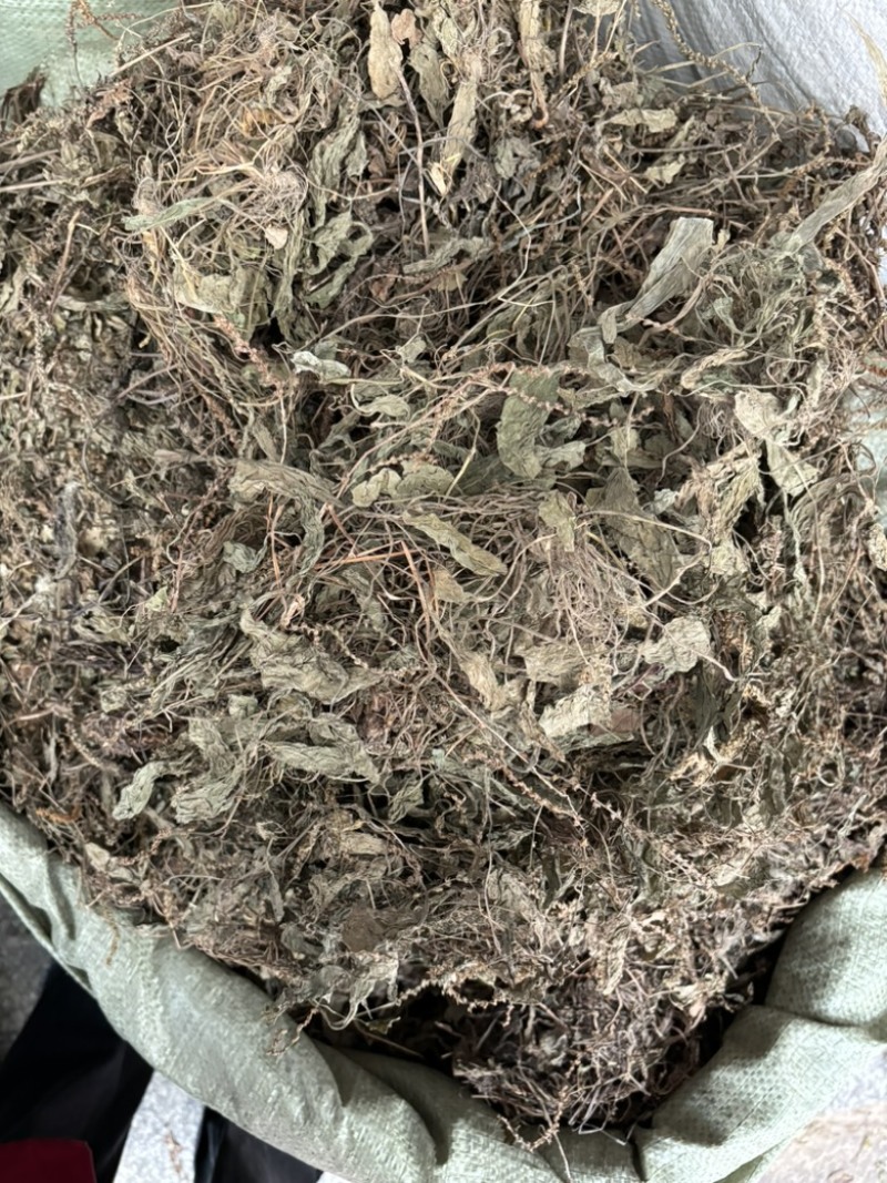 车前草批发零售中药材一斤起发量大从优一件代发