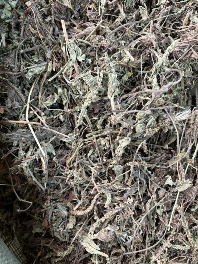 车前草批发零售中药材一斤起发量大从优一件代发