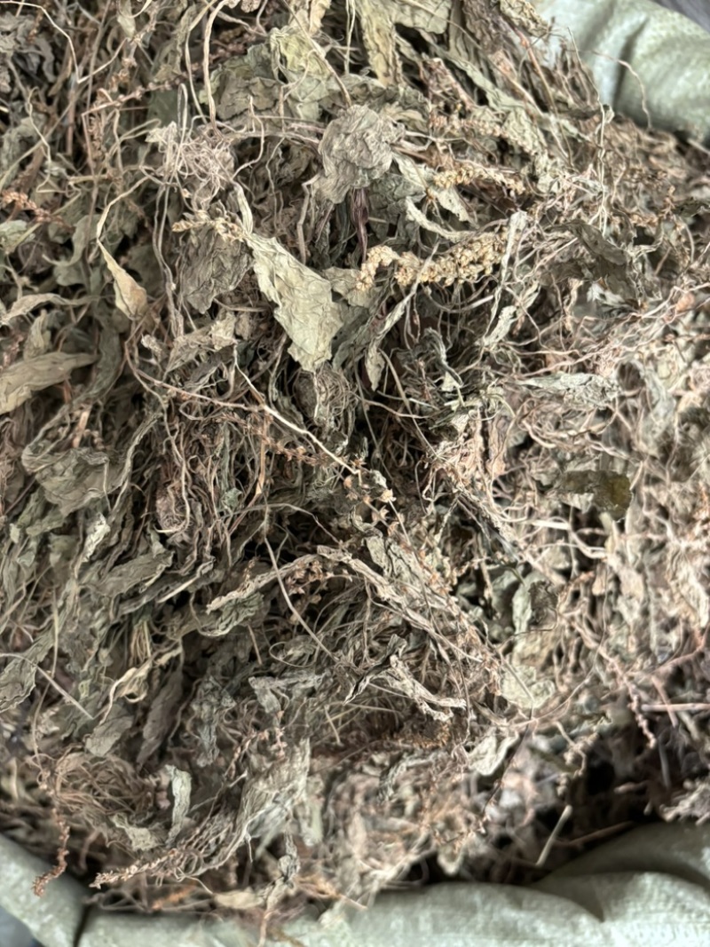车前草批发零售中药材一斤起发量大从优一件代发