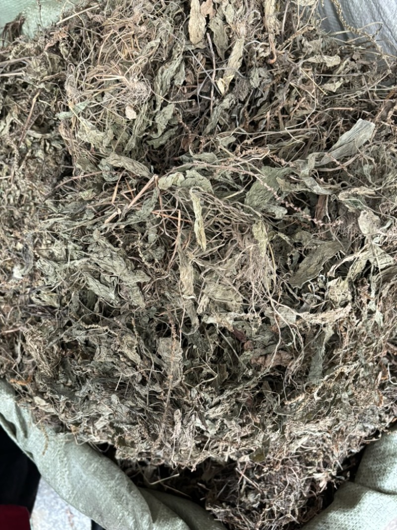 车前草批发零售中药材一斤起发量大从优一件代发
