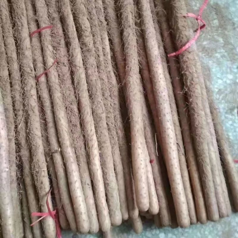 小白嘴山药网袋箱货新鲜当季农家现挖蔬菜山药粉糯河北特产
