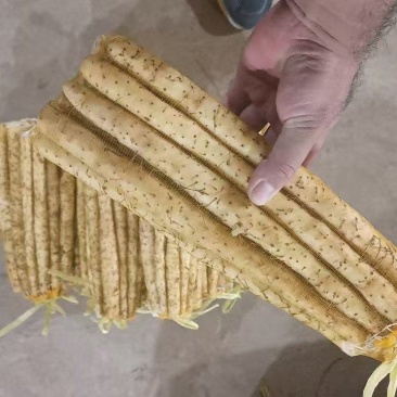 小白嘴山药网袋箱货新鲜当季农家现挖蔬菜山药粉糯河北特产