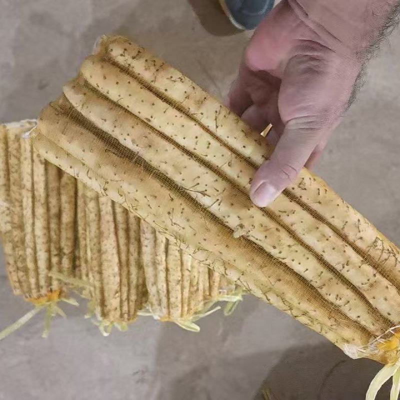 小白嘴山药网袋箱货新鲜当季农家现挖蔬菜山药粉糯河北特产