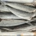 鬼头刀鱼块、鱼柳全国可发量大从优价格透明，视频看货