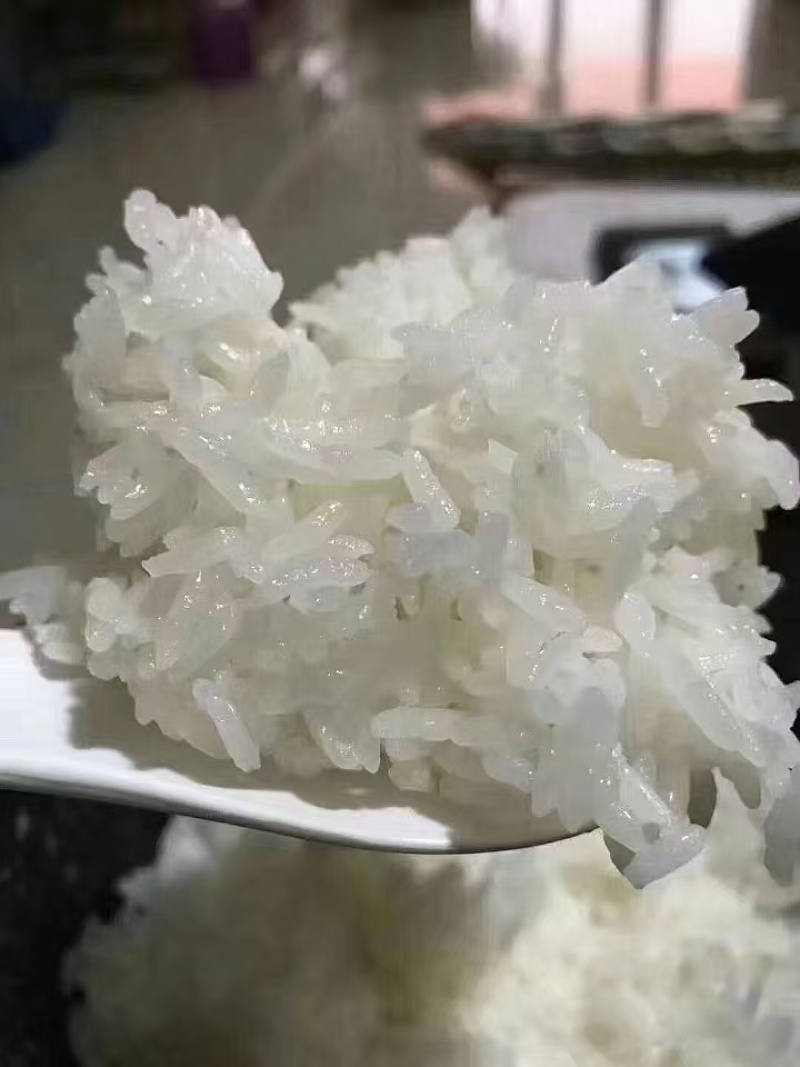 【精选】东北长粒香大米颗粒饱满香味浓郁欢迎咨询订购