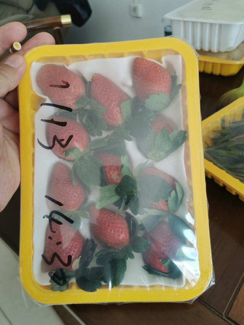 云南露天草莓，大量接社区团购，市场订单