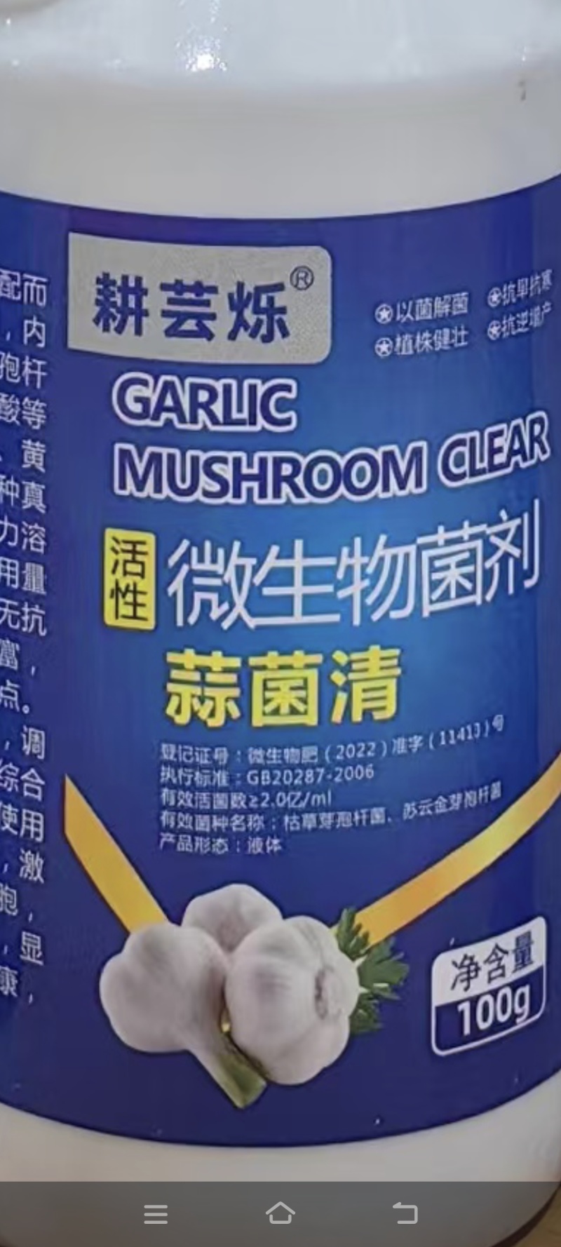 微生物菌剂蒜菌清专门防治大蒜干尖黄叶
