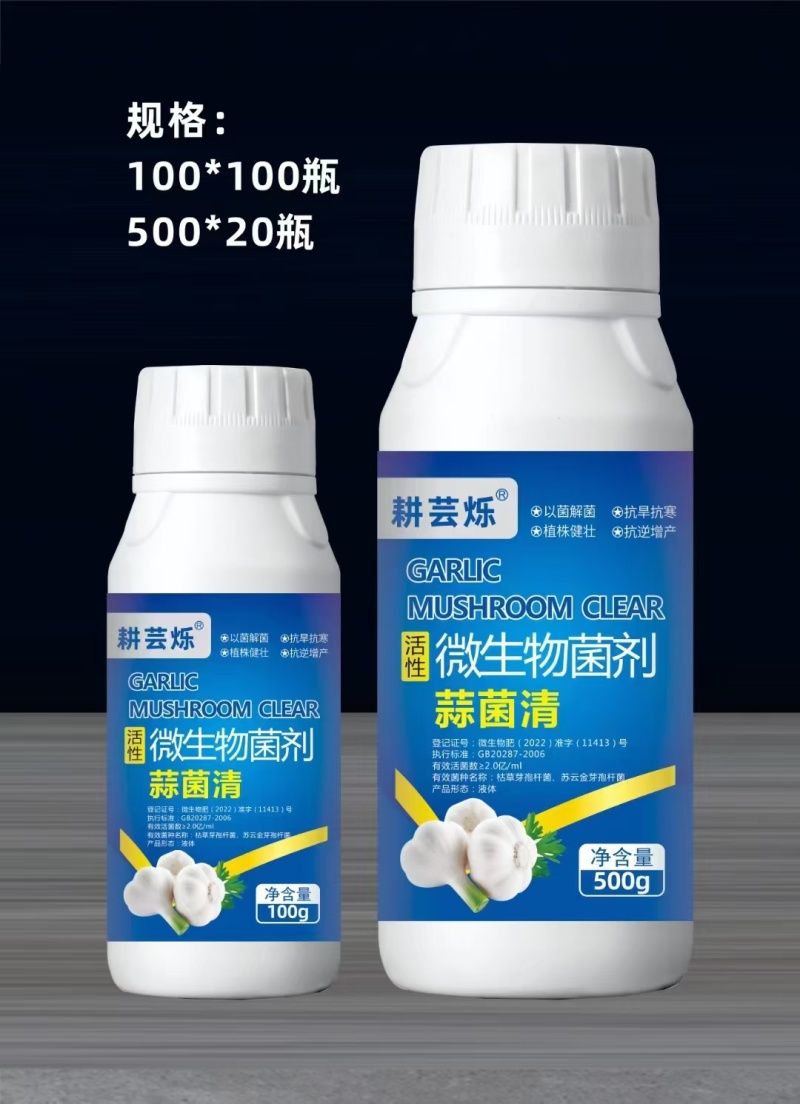 微生物菌剂蒜菌清专门防治大蒜干尖黄叶