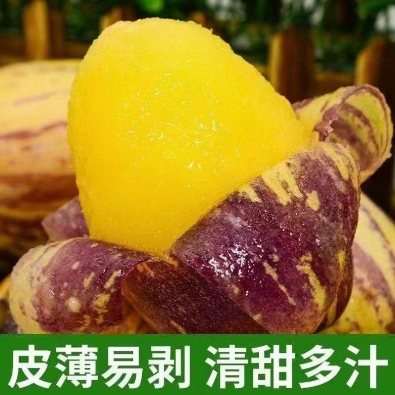 甘肃精品人参果大量供应，新鲜采摘，货源充足，量大从优。