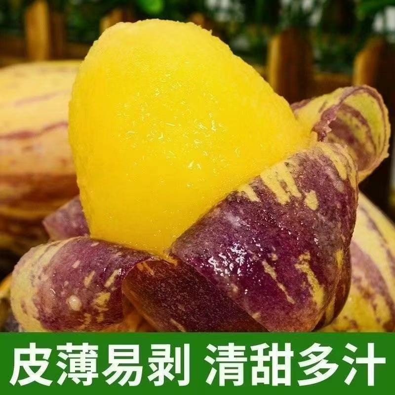 甘肃精品人参果大量供应，新鲜采摘，货源充足，量大从优。