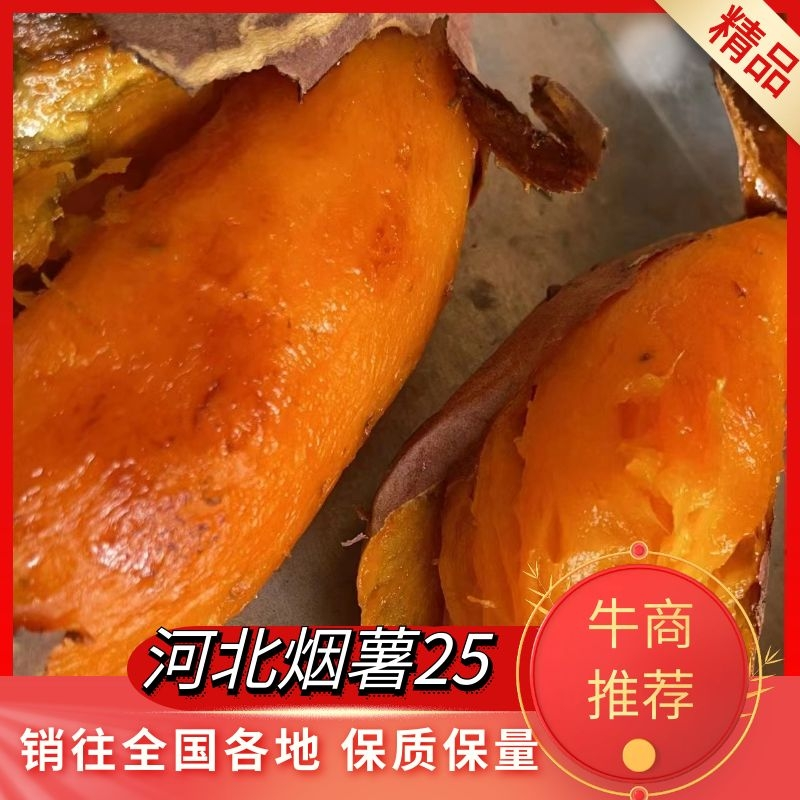 （降价了）河北烟薯25烤红薯现挖现发，一件代发量大价优