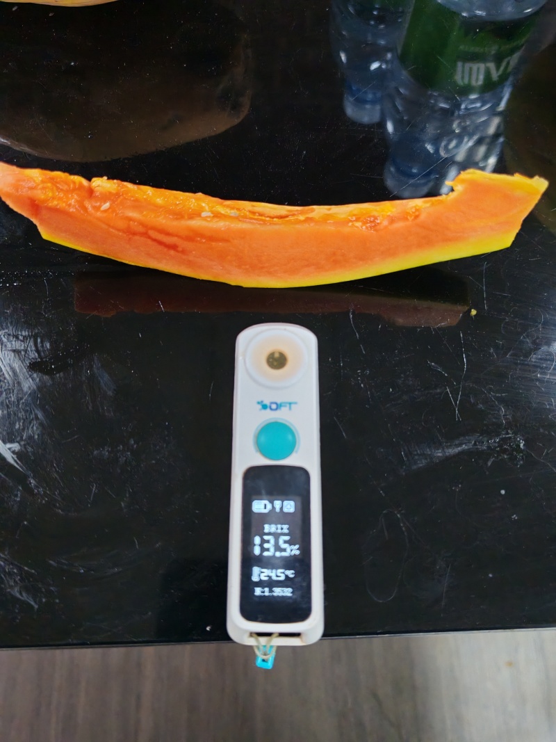 非转基因木瓜，甜瓜木瓜，牛奶木瓜，超甜木瓜