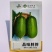 春润品味胖胖香丝瓜种子苹果丝瓜种子短棒形甜味浓汤色白水瓜