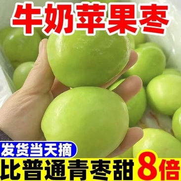 云南西双版纳牛奶枣大青枣