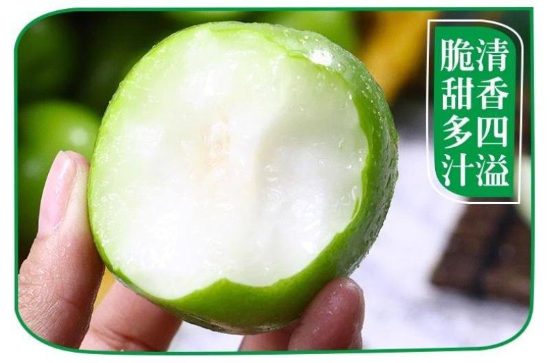 云南西双版纳牛奶枣大青枣