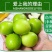云南西双版纳牛奶枣大青枣