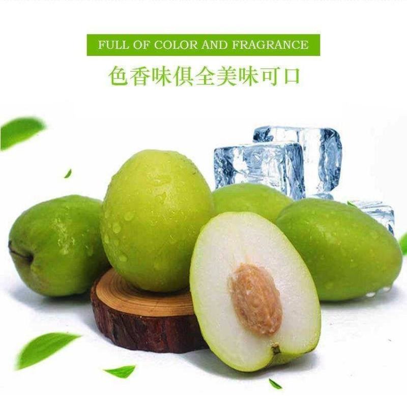 云南西双版纳牛奶枣大青枣