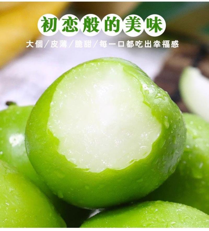 云南西双版纳牛奶枣大青枣