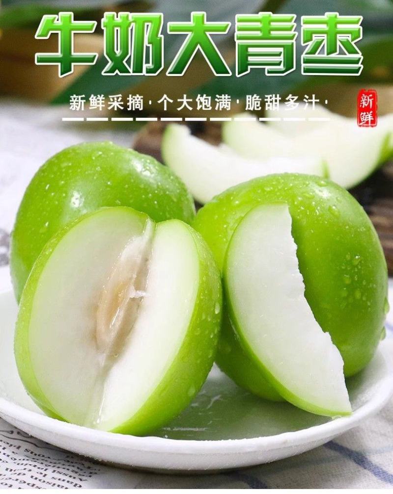 云南西双版纳牛奶枣大青枣