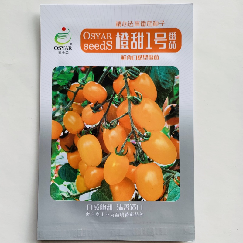 超甜橙甜1号樱桃番茄种子黄色脆甜鲜食口感黄圣女