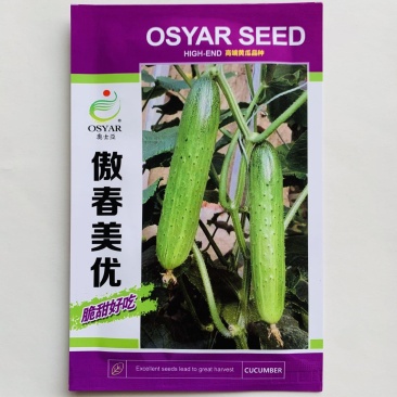 傲春美优水果黄瓜种子脆甜清香强雌性旱黄瓜种子节节有瓜早熟