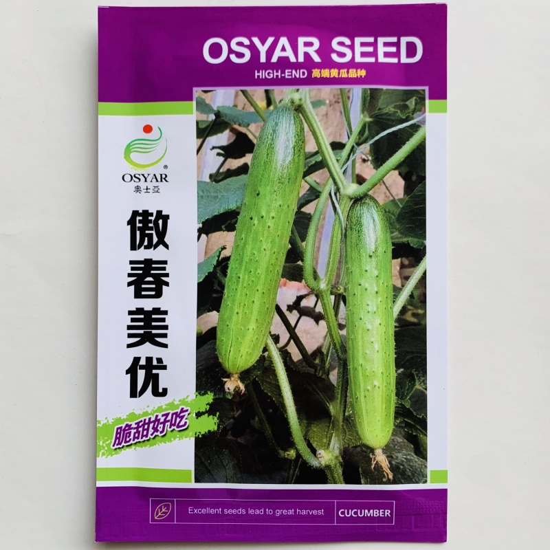 傲春美优水果黄瓜种子脆甜清香强雌性旱黄瓜种子节节有瓜早熟
