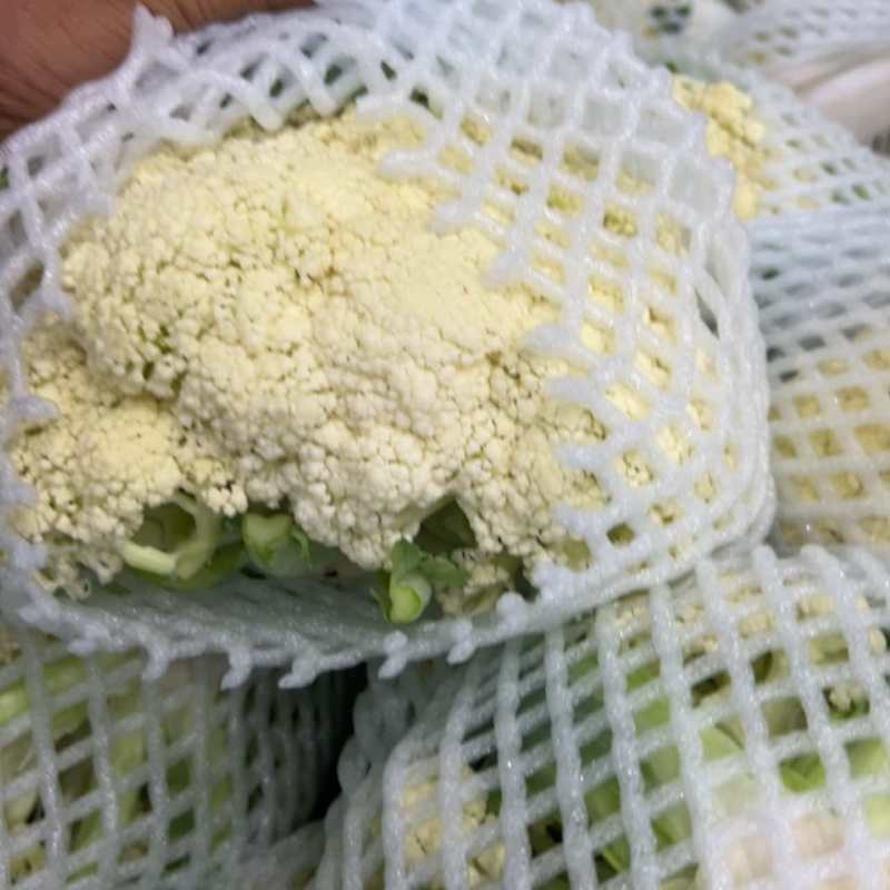 天门有机花大量上市
