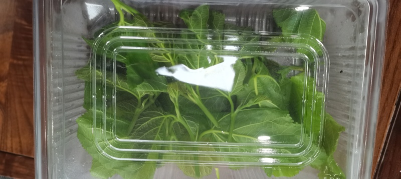 农家特菜，无加工，当日新鲜采摘，鲜嫩桑芽菜，独特保鲜技术