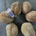液氮金枕榴莲金枕榴莲树熟榴莲冷冻榴莲液氮果电商果干尧榴莲