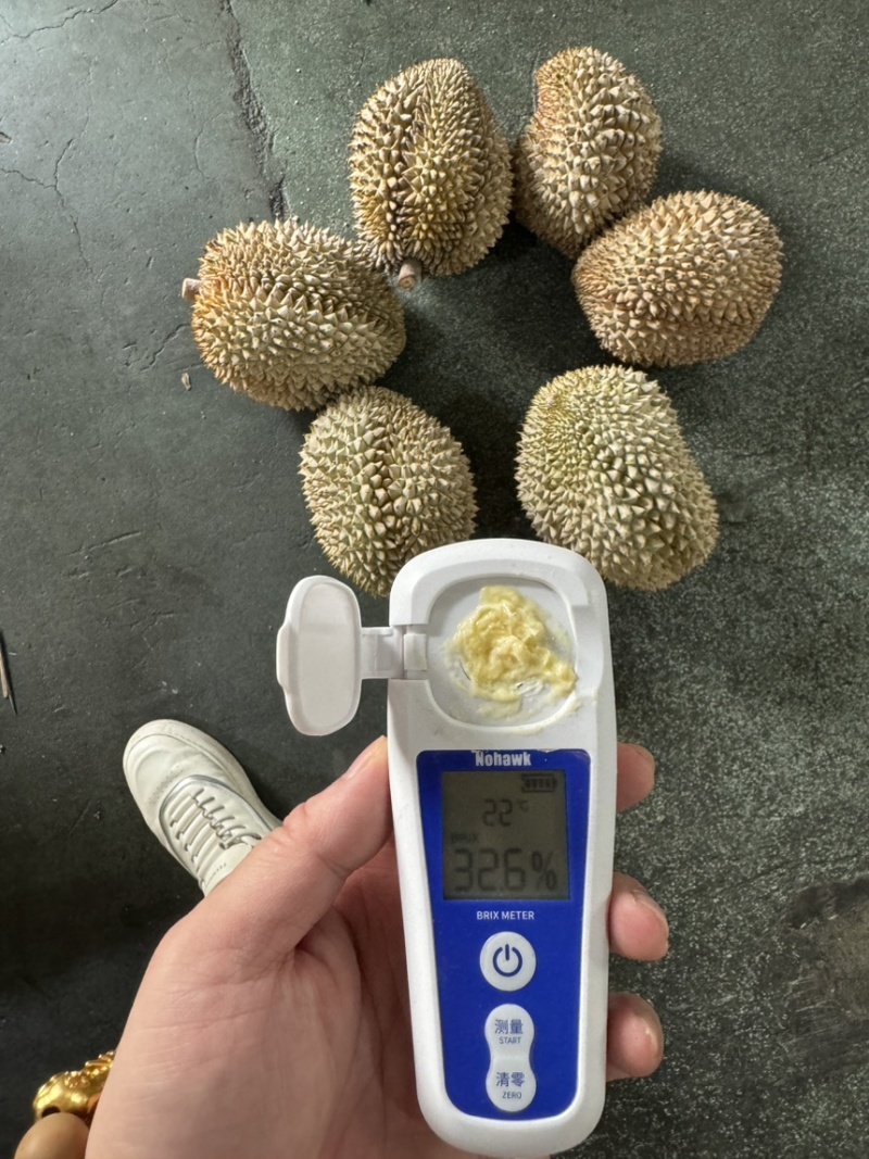 液氮金枕榴莲金枕榴莲树熟榴莲冷冻榴莲液氮果电商果干尧榴莲