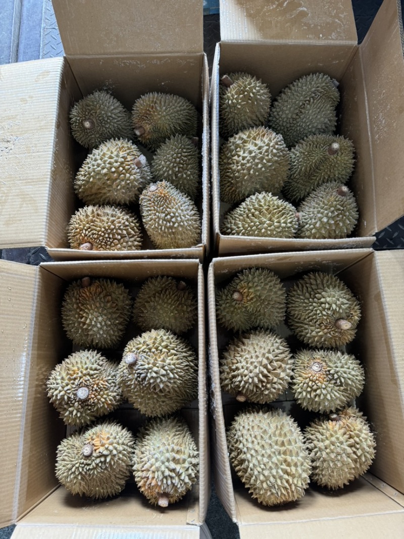 液氮金枕榴莲金枕榴莲树熟榴莲冷冻榴莲液氮果电商果干尧榴莲