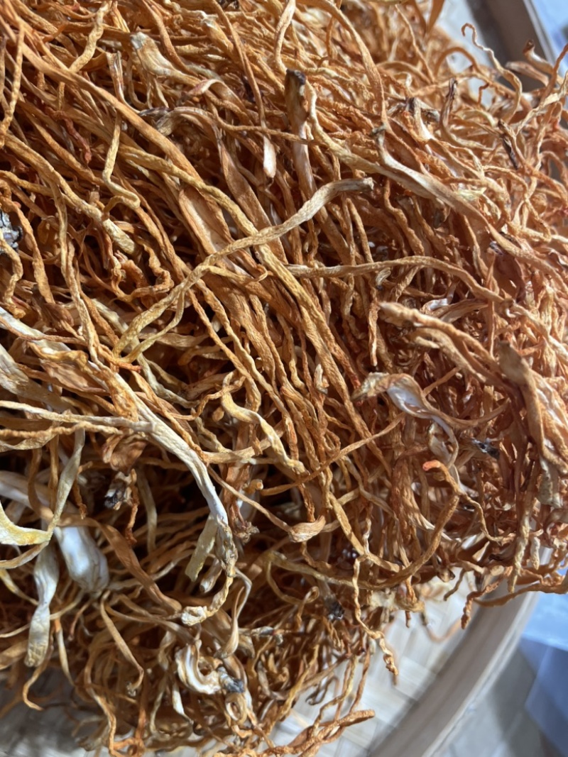 虫草花内蒙古孢子头虫草花干货批发