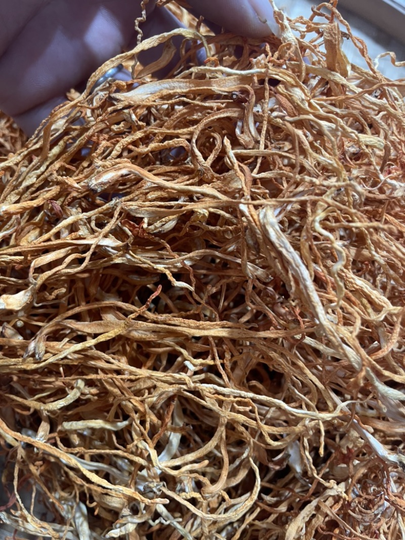 虫草花内蒙古孢子头虫草花干货批发