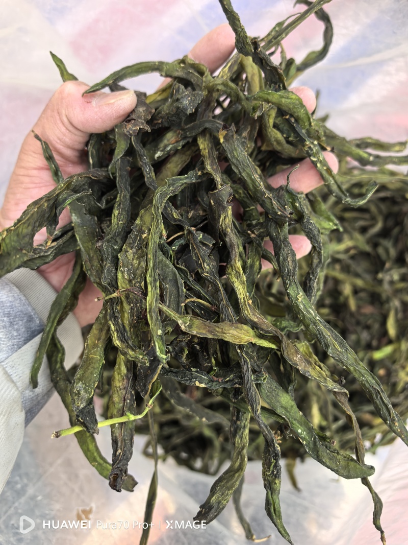 架豆王三级