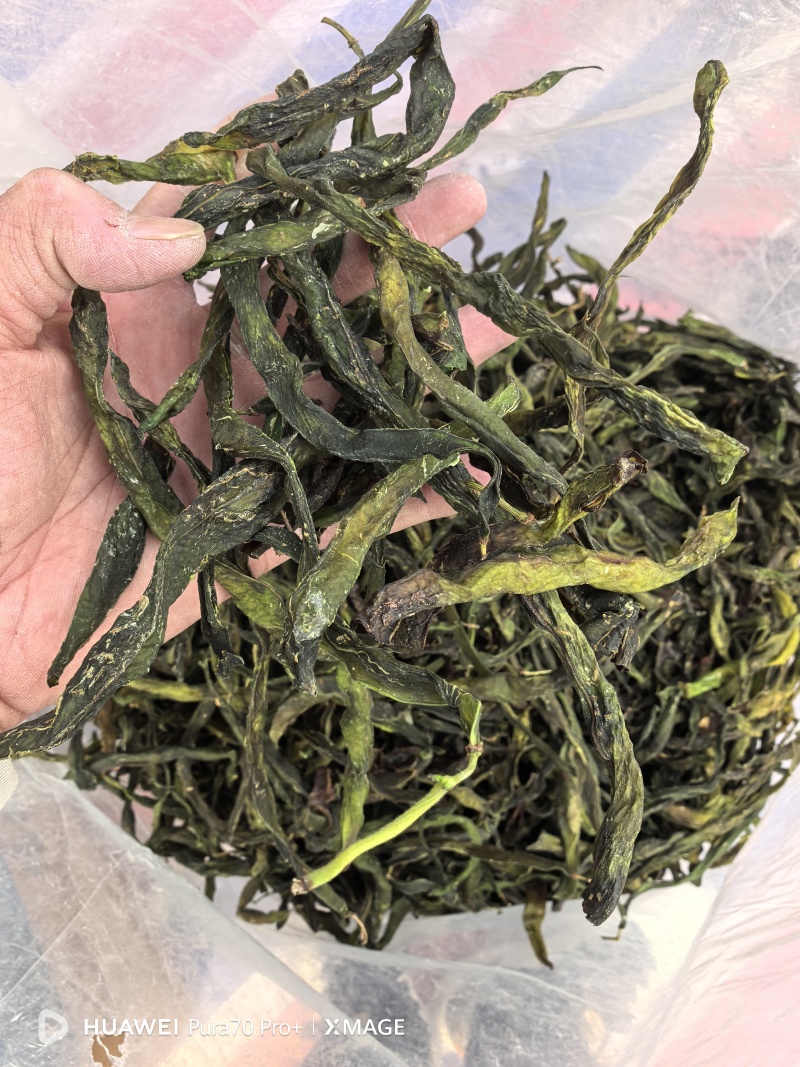 架豆王三级