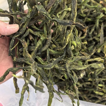 架豆王三级