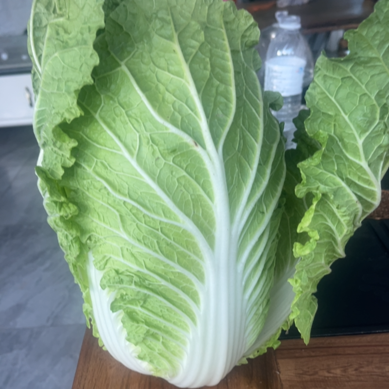 精品黄心